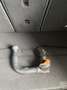 MINI Sonstige MINI Countryman Hybrid PHEV SE ALL4 Aut./AHK/AC... Grau - thumbnail 7