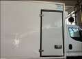 Iveco daily 60-150 frigorifero con sponda Bianco - thumbnail 8