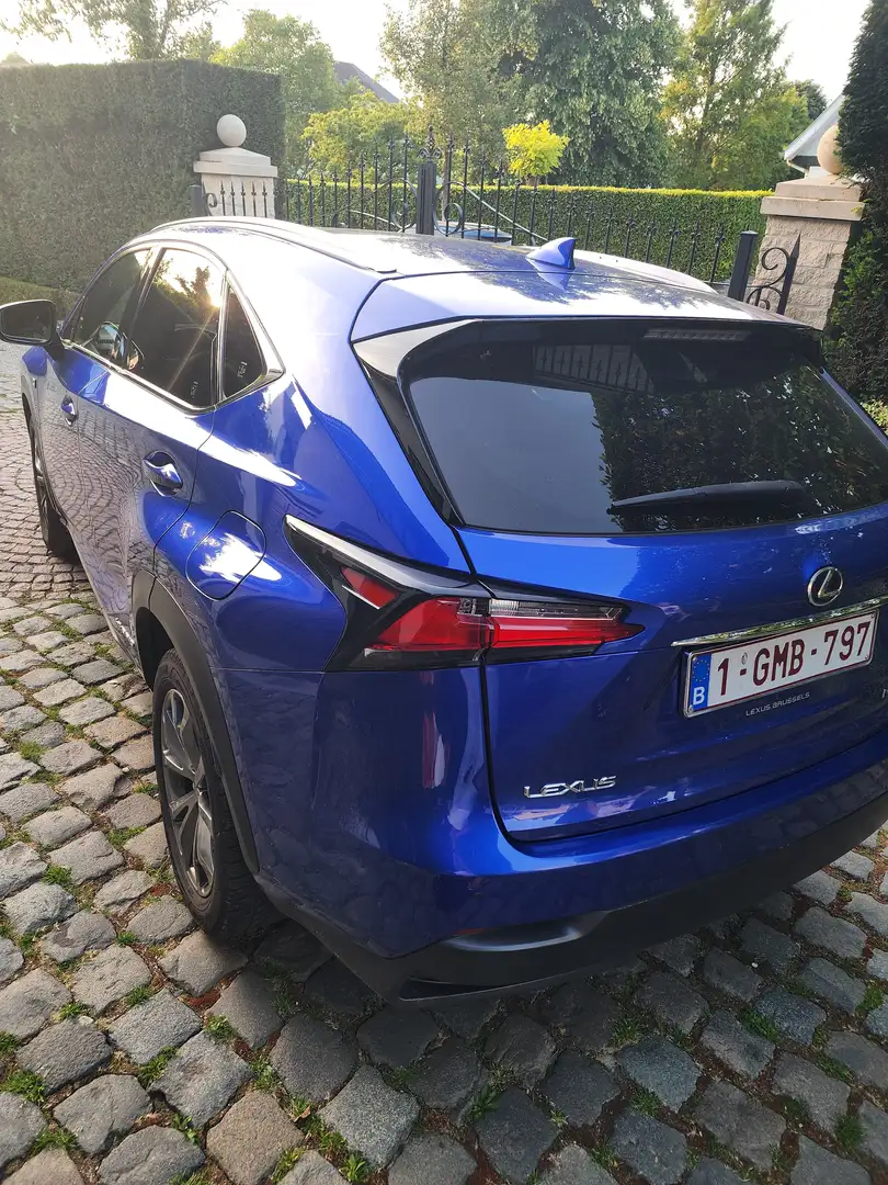 Lexus NX 300h NX 300h E-FOUR F Sport Blauw - 2