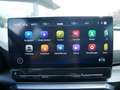 CUPRA Formentor 2.0 TSI VZ Tribe Edition 4Drive AHK Schwarz - thumbnail 12