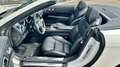 Mercedes-Benz SL 350 V6 AMG Line - 1. Hand - Blanc - thumbnail 19