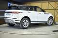 Land Rover Range Rover Evoque 2.0 D163 S AUTO 4WD MHEV - thumbnail 5