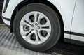 Land Rover Range Rover Evoque 2.0 D163 S AUTO 4WD MHEV - thumbnail 14