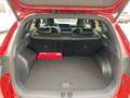 Hyundai TUCSON 1.6 T-GDi 48V-Hybrid 2WD DCT N Line (NX4e) Rot - thumbnail 11