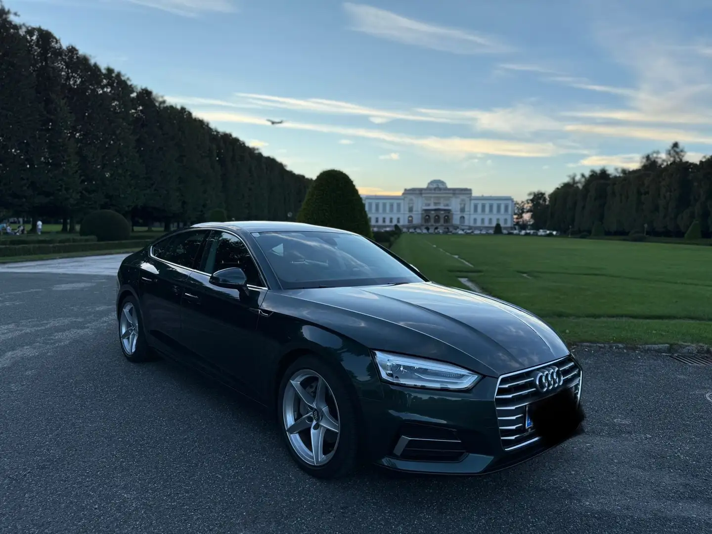 Audi A5 4.0 TDI Grün - 1