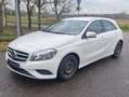 Mercedes-Benz A 160 A-Klasse Diesel CDI Weiß - thumbnail 2