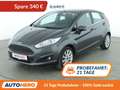 Ford Fiesta 1.0 Titanium *PDC*SHZ*ALU*KLIMA*GARANTIE* Gris - thumbnail 1
