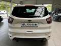 Ford Kuga ST-Line/BI-XENON/PANO/SONY/KAMERA/DAB/NAVI Blanc - thumbnail 6