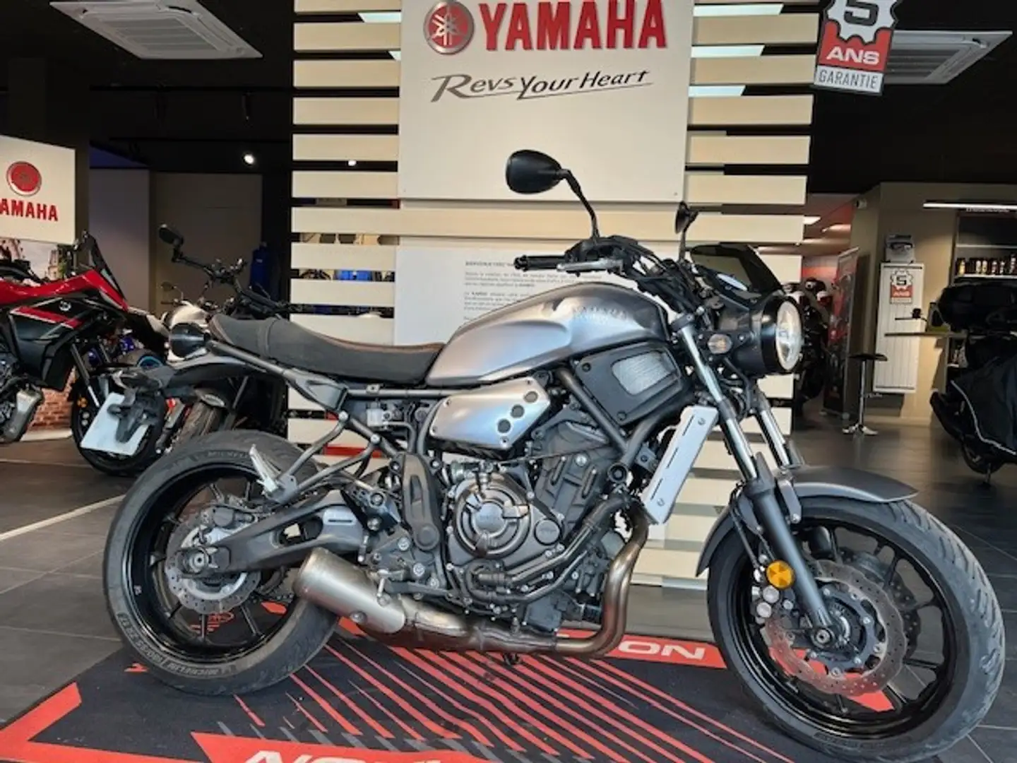 Yamaha XSR 700 - 1
