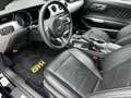 Ford Mustang Shelby GT-H "Executive Car"  13 OF 16 Schwarz - thumbnail 17