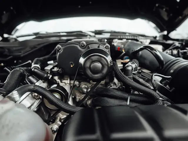 Ford Mustang Shelby GT-H 500 "Executive Car"  13 OF 16 Ansicht 11