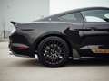 Ford Mustang Shelby GT-H "Executive Car"  13 OF 16 Schwarz - thumbnail 7