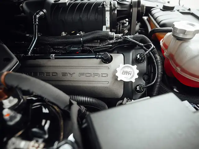 Ford Mustang Shelby GT-H 500 "Executive Car"  13 OF 16 Ansicht 23