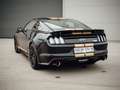 Ford Mustang Shelby GT-H "Executive Car"  13 OF 16 Schwarz - thumbnail 4