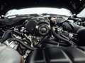 Ford Mustang Shelby GT-H "Executive Car"  13 OF 16 Schwarz - thumbnail 11