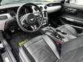 Ford Mustang Shelby GT-H "Executive Car"  13 OF 16 Schwarz - thumbnail 14