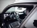 Ford Mustang Shelby GT-H "Executive Car"  13 OF 16 Schwarz - thumbnail 12