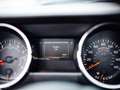 Ford Mustang Shelby GT-H "Executive Car"  13 OF 16 Schwarz - thumbnail 18