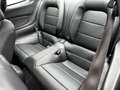 Ford Mustang Shelby GT-H "Executive Car"  13 OF 16 Schwarz - thumbnail 20