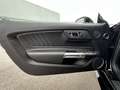 Ford Mustang Shelby GT-H "Executive Car"  13 OF 16 Schwarz - thumbnail 29