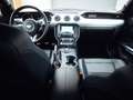 Ford Mustang Shelby GT-H "Executive Car"  13 OF 16 Schwarz - thumbnail 13