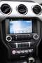 Ford Mustang Shelby GT-H "Executive Car"  13 OF 16 Schwarz - thumbnail 19