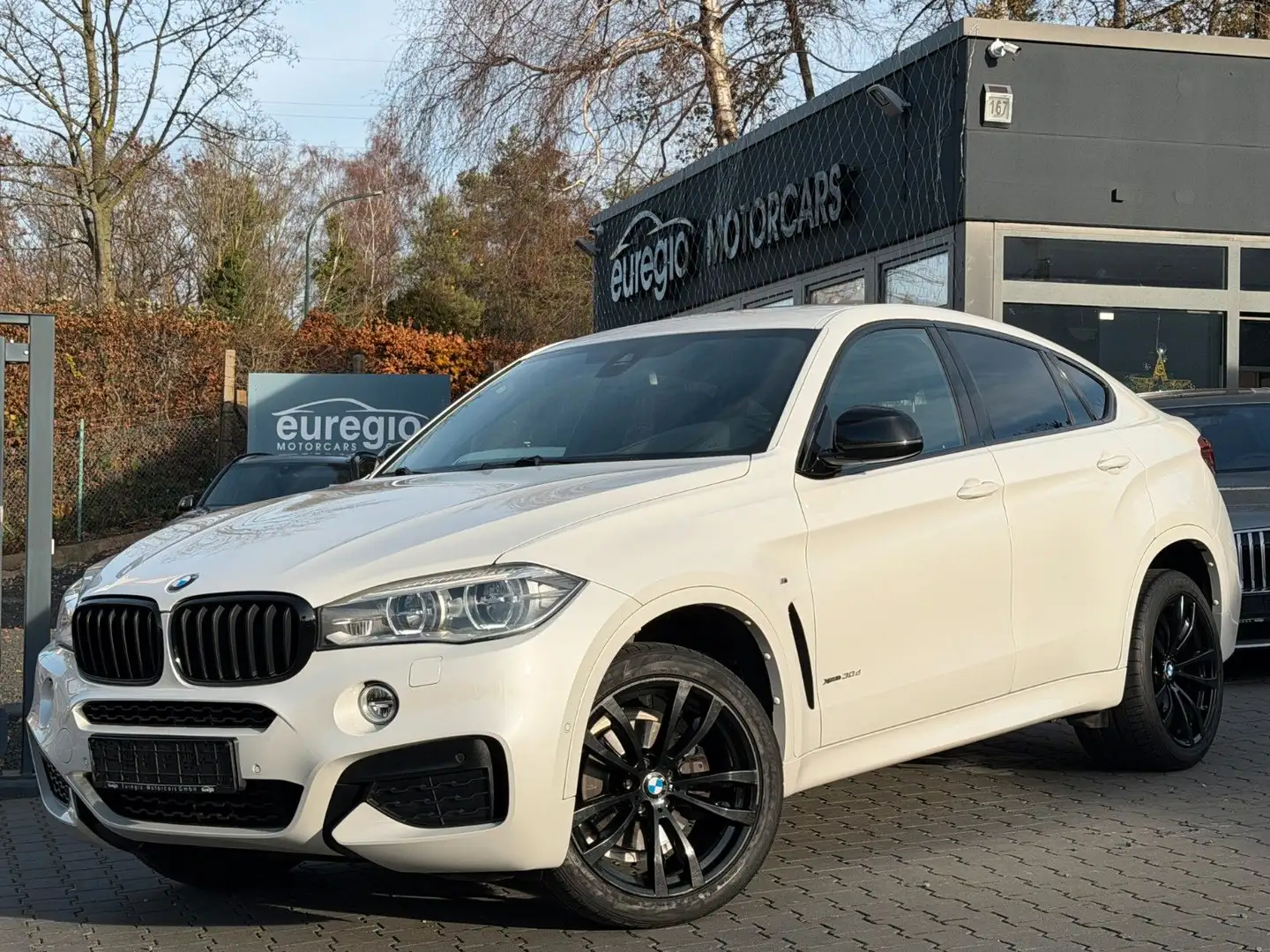 BMW X6 xDrive 30 d 1 Hand - LED - M Sportpaket /// Blanc - 1
