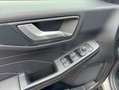 Ford Kuga 2.0 EcoBlue Aut. ST-LINE Argent - thumbnail 11