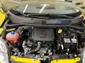 Fiat Panda PANDINA 1.0 FireFly S&S Hybrid PREZZO REALE Giallo - thumbnail 6
