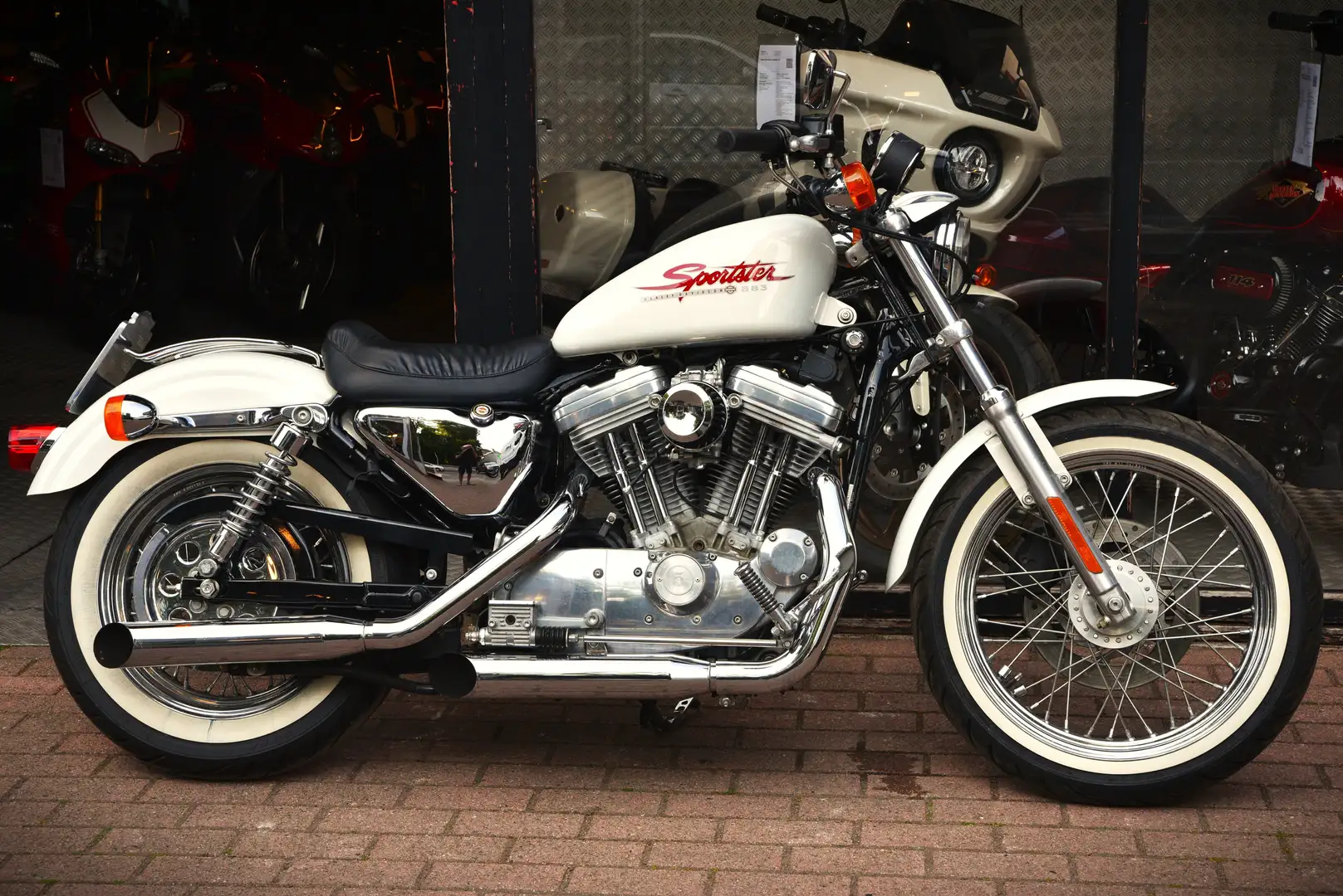 Harley-Davidson Sportster 883 ***MOTO VERTE*** Bianco - 2