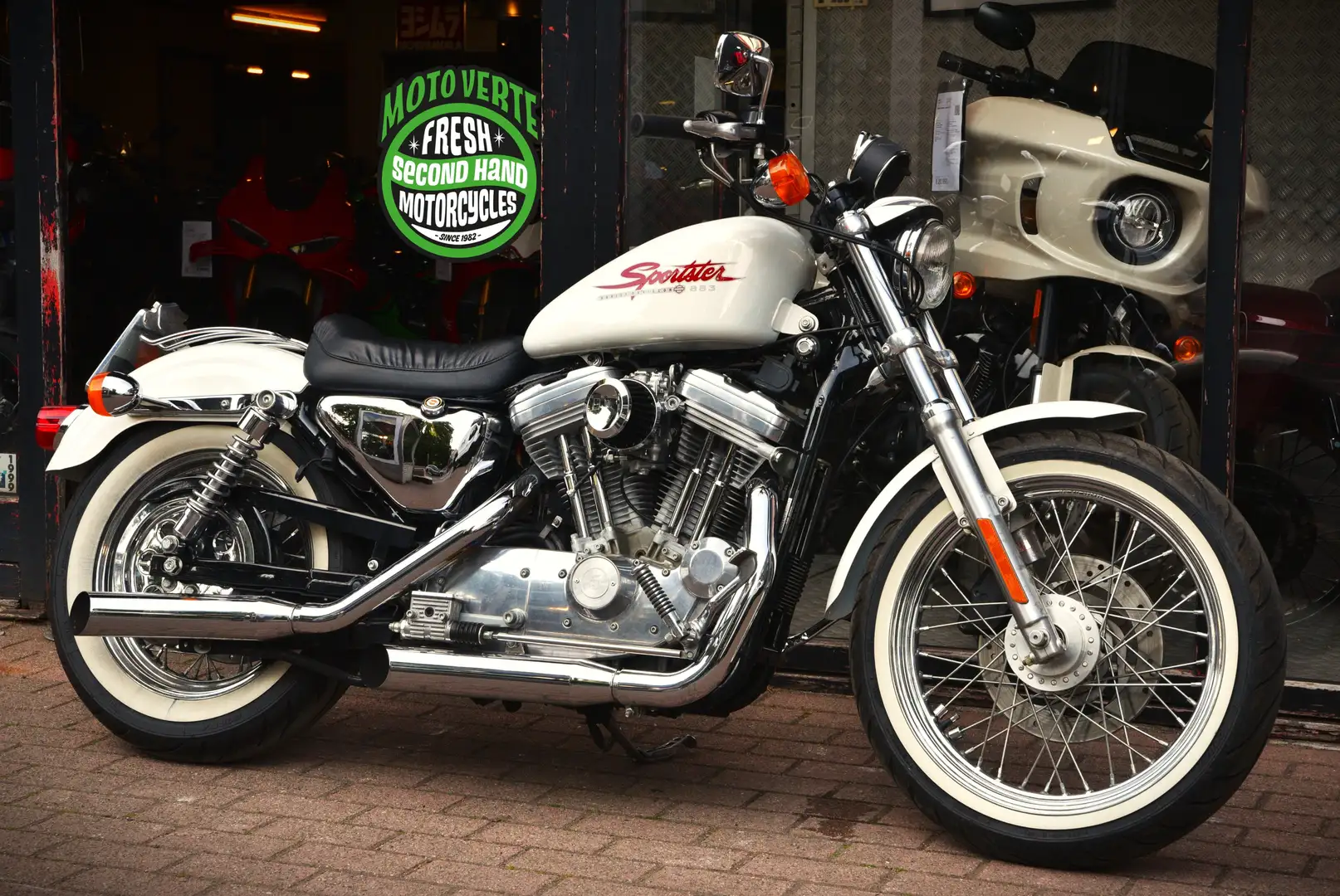Harley-Davidson Sportster 883 ***MOTO VERTE*** Bianco - 1