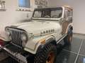 Jeep CJ-5 Alb - thumbnail 6