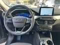 Ford Kuga 2.5 phev Titanium Business 225cv - AUT/NAV/CAMERA Gris - thumbnail 9