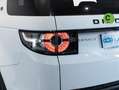Land Rover Discovery Sport 2.0TD4 SE 4x4 Aut. 150 Blanc - thumbnail 14
