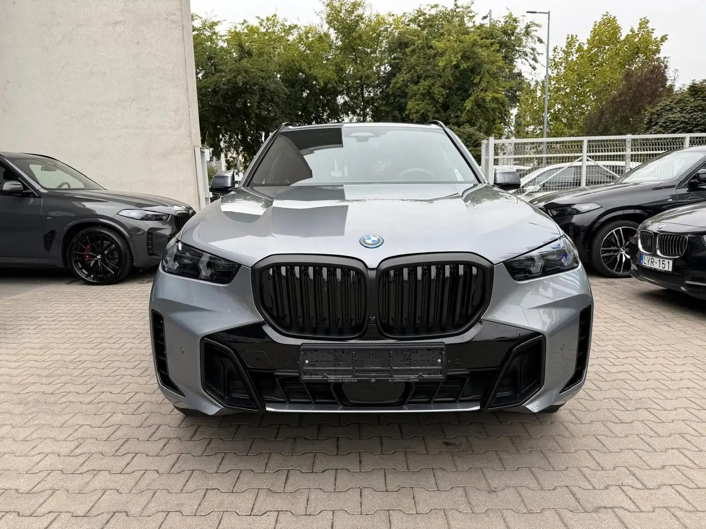 BMW X5 50e xDrive MSport ACC,HUD,PANO,HARMAN,LUFT... Gris - 2
