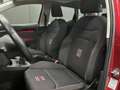 SEAT Ibiza 1.5 EcoTSI S&S FR 150 Rojo - thumbnail 24