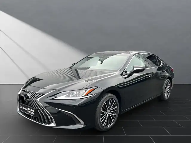 Lexus ES 300 h*BUSINESS*SCHIEBEDACH 15J-GARANTIE