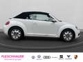 Volkswagen Beetle Cabriolet Design1.2 TSI Navi SHZ Temp PDCv+h Berga Weiß - thumbnail 3