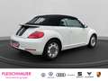 Volkswagen Beetle Cabriolet Design1.2 TSI Navi SHZ Temp PDCv+h Berga Weiß - thumbnail 4