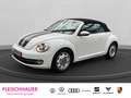 Volkswagen Beetle Cabriolet Design1.2 TSI Navi SHZ Temp PDCv+h Berga Weiß - thumbnail 1