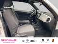 Volkswagen Beetle Cabriolet Design1.2 TSI Navi SHZ Temp PDCv+h Berga Wit - thumbnail 11