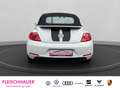 Volkswagen Beetle Cabriolet Design1.2 TSI Navi SHZ Temp PDCv+h Berga Wit - thumbnail 5
