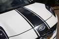 Ford Puma 1.0EB TITANIUM STOEL MASSAGE | 155PK! | CRUISE CON Wit - thumbnail 37