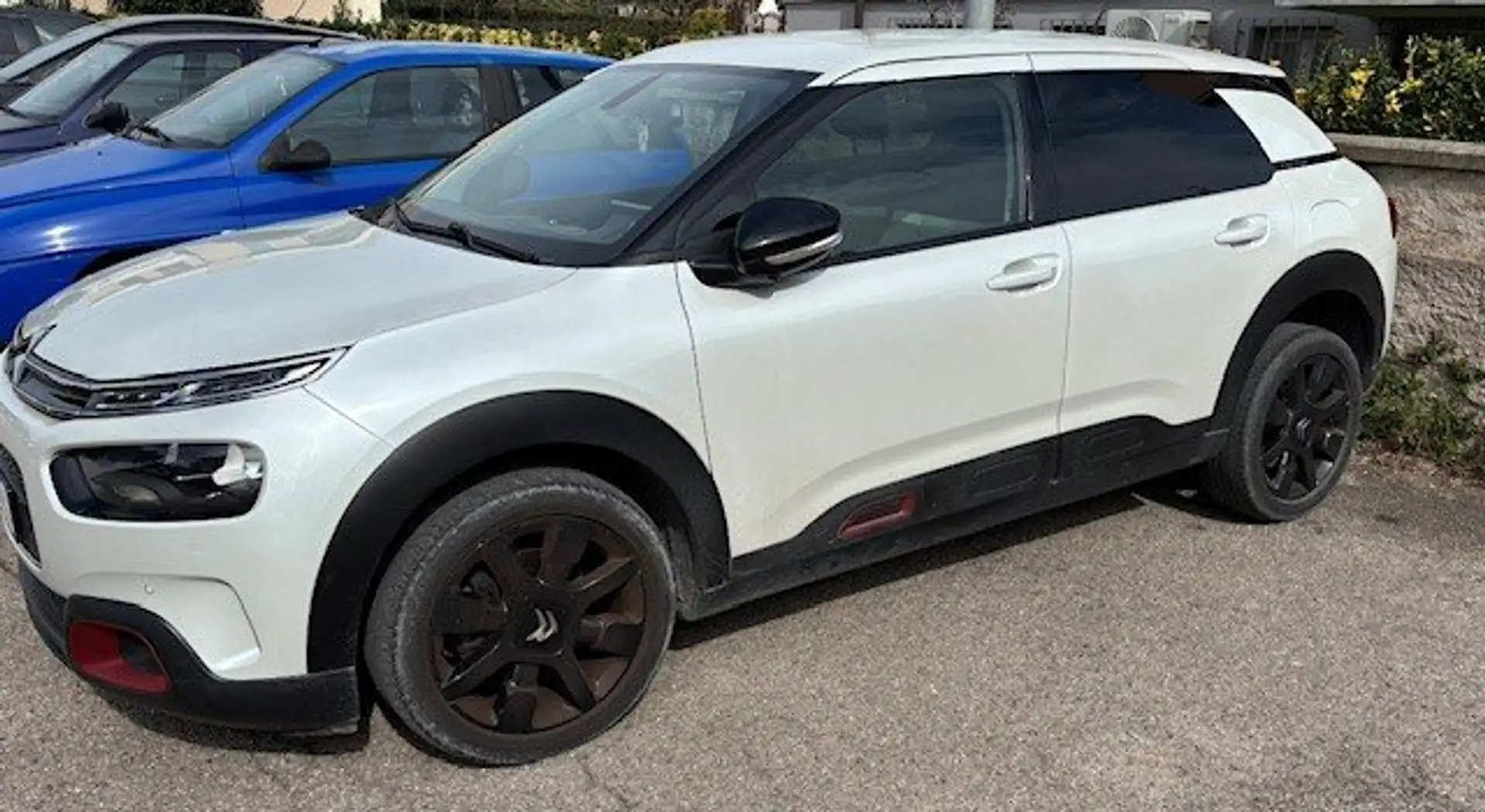 Citroen C4 Cactus BlueHDi 120 S&S EAT6 shine Bianco - 2