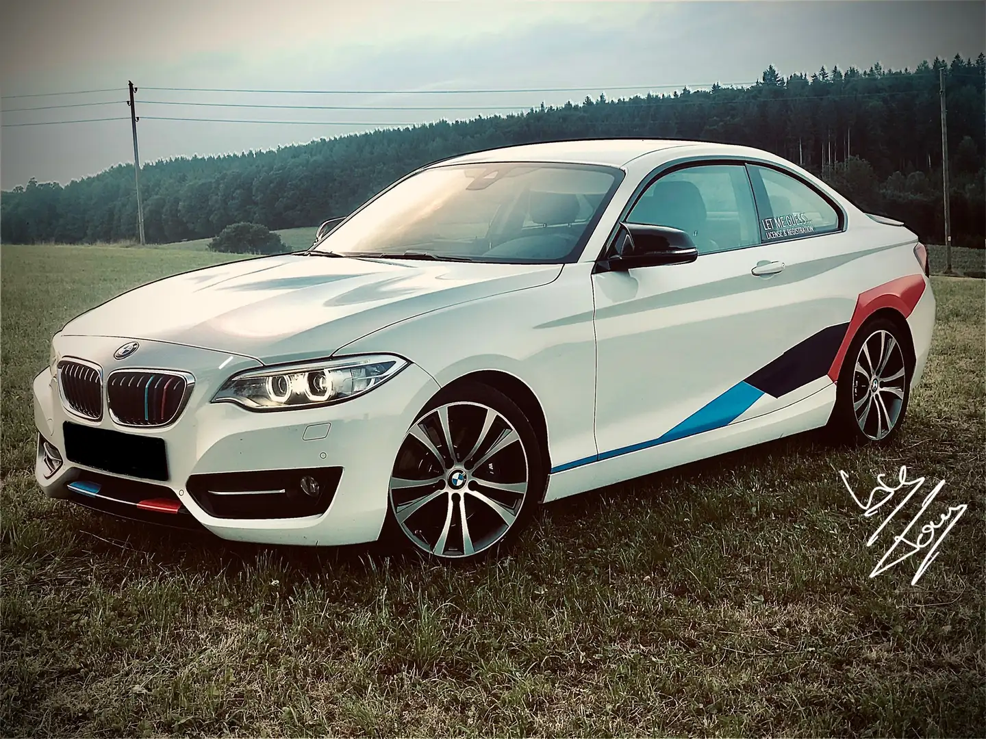 BMW 225 225d Coupe Sport-Aut. Sport Line Weiß - 1