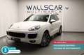 Porsche Cayenne Diesel Platinum Edition Aut. Weiß - thumbnail 1