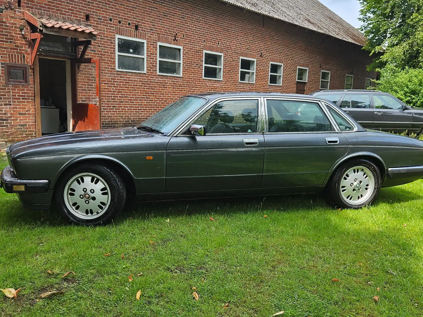 Jaguar XJ40 Grijs - 1