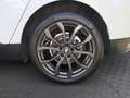 Renault Grand Scenic Intens dCi 1,6l 130PS Weiß - thumbnail 13