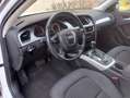 Audi A4 A4 Avant 2.0 tdi Ambiente Plus multitronic bijela - thumbnail 5