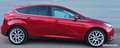 Ford Focus 2.0 TDCI 150cv TITANIUM Toit Ouvrant Goud - thumbnail 7